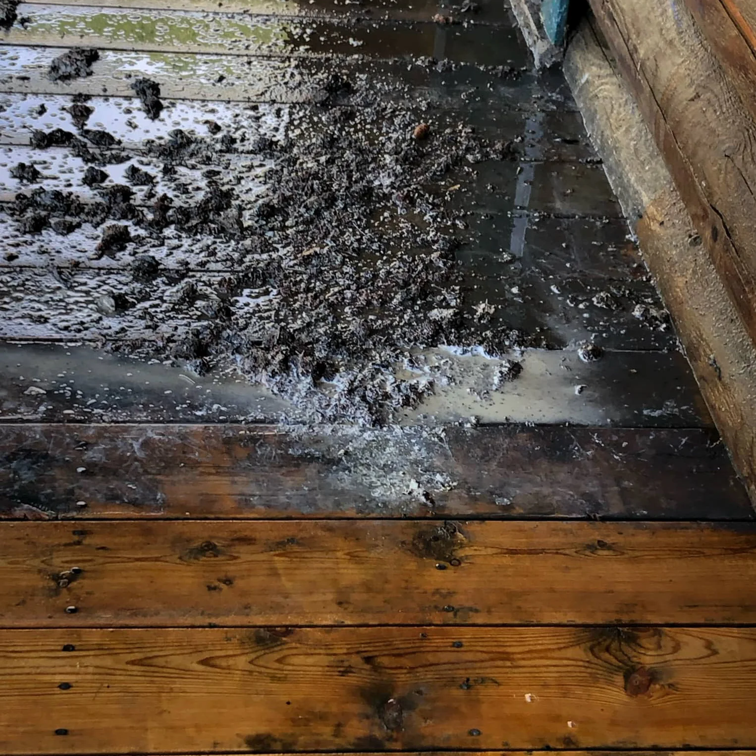 deck-pressure-washing