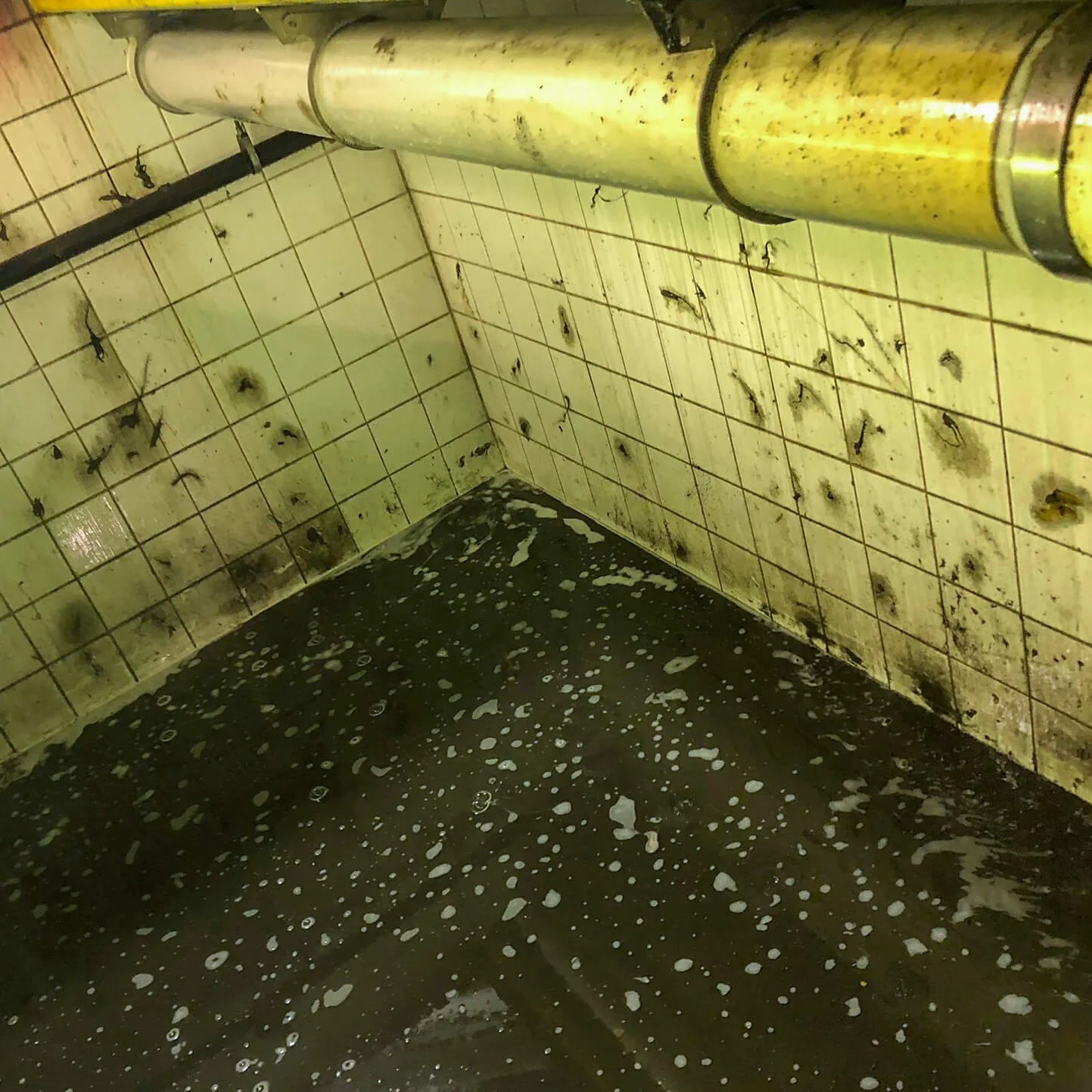 sewer-backup-cleaning