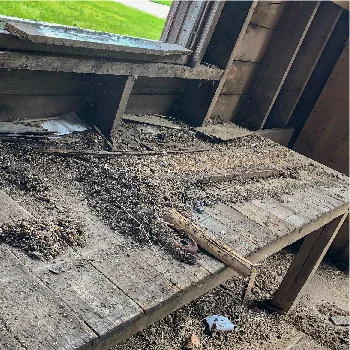 rural-decontamination